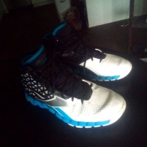 Reebok Basketball Shoes